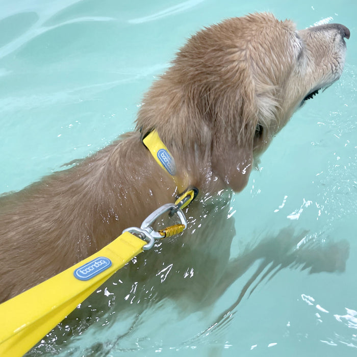 Waterproof Joy Traffic Leash 35