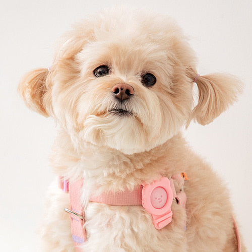 HATE ME Insect-Repelling Band