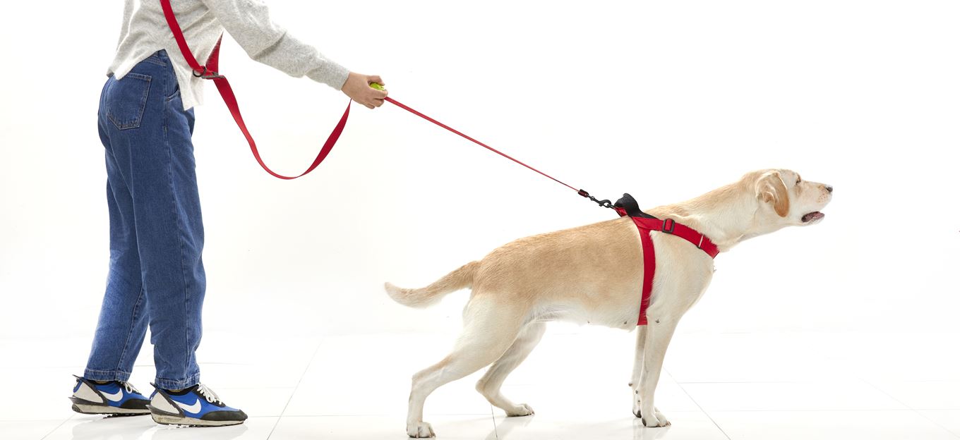 Boonball Soft - 3 Colours