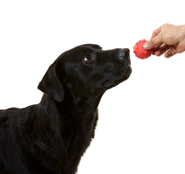 Boonball Soft - 3 Colours