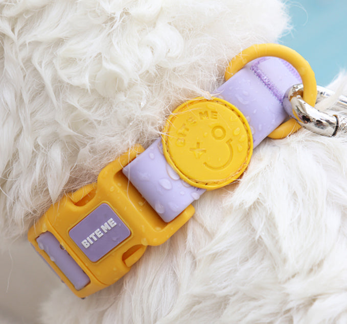 Macaron Hands-free Waterproof Leash (4 colors)