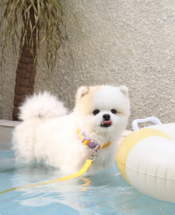 Macaron Hands-free Waterproof Leash (4 colors)
