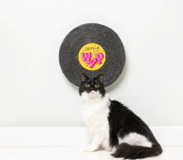 Record Cat Scratcher