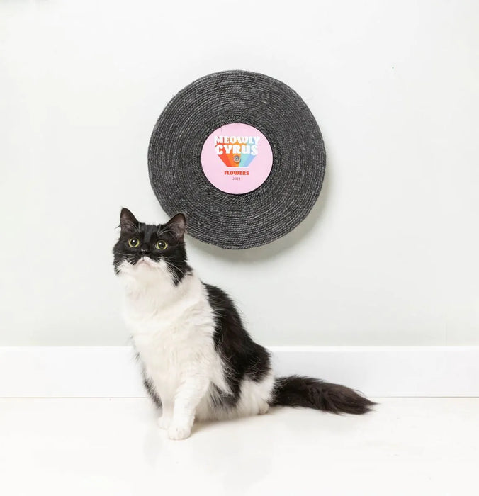 Record Cat Scratcher