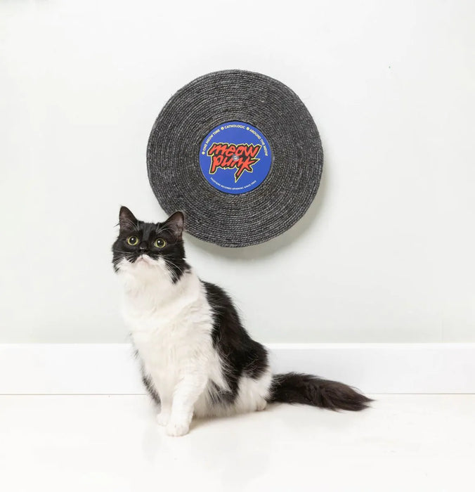 Record Cat Scratcher