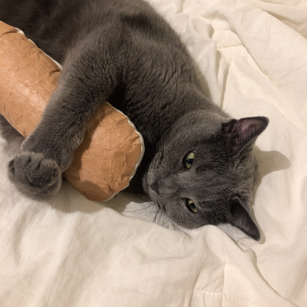 Creamy Puff | Refreshable Catnip Cushion